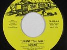 Sweet Soul 45 - Sugar - I Want You Girl - True Soul - Mint