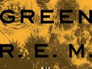 R.E.M. : Green VINYL 12