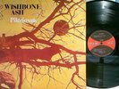 WISHBONE ASH   