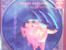 Black Sabbath  Paranoid LTD Edition Picture Disc Italy '96 Rare OOP New
