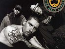 House Of Pain - House Of Pain (Fine Malt Lyrics) '92 LP US ORG  DJ Muggs