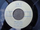 Rockabilly 45 Charles Walton And The Kool Kats Sky-114 Teen Age Blues