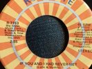 MAGIC NIGHT-IF YOU AND I HAD NEVER MET