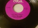 LITTLE RICHARD - I Don't Want To Discuss It / Hurry Sundown 7