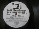 TODD EDWARDS NEW TREND'S SOUND/Radio Thing/Can't You Believe/All I Need HOUSE