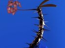 Skin Companion Ep Ii - Flume (2017, Vinyl NEW)