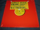 D.J. TREBOR Can't Hide From Jah / On My Mind SMOKER   Rare Digi Roots 12