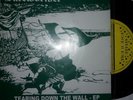 ISD -TEARING DOWN THE WALL/FREE MY LAND/DON'T LET THEM PULL ROCK-O-RAMA REBELLES