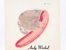 The Velvet Underground & Nico V6-5008 LP Torso Cover 1967 Andy Warhol
