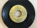 The Gee Tees - Put You Down / Dog RARE GA Garage 45 on Perfection Sound Studios 