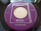 The Bintangs - Walkin' The Boogie // Orig '66 Muziek Expres NL Clean Copy 45 7