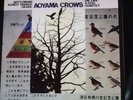 Peter Brötzmann - Aoyama Crows - Die Like A Dog Quartet