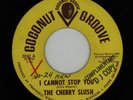 -MICHIGAN GARAGE PSYCH-COCONUT GROOVE 2032-THE CHERRY SLUSH-PROMO-45