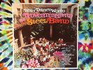 Walt Disney World Adventureland Steel Band Souvenir Record 1976 WE-3 VeRy RaRe