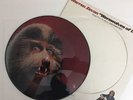 Warren Zevon - Werewolves Of London - 1978 Picture Disc Vinyl LP E-45472 (EX)