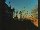 CINEMATIC ORCHESTRA - MA FLEUR (UK) NEW VINYL