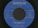 Rare Indiana Garage Punk 45   Ferris Wheel   Come Back Baby   Listen