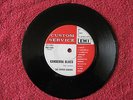 THE BITTER LEMONS  CANBERRA BLUES   RARE 1965 AUSSIE GARAGE CUSTOM LABEL