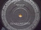 The Chameleons-In shreds Demo. 7
