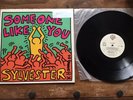 Sylvester 12