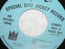 NM PROMO The Mystery Trend 1967/Johnny was a good Boy VERVE Psych Garage VK10499