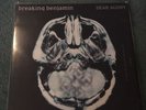 Breaking Benjamin Dear Agony Vinyl LP (USED VG+)