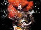 BJÖRK - BIOPHILIA (2 VINYL LP) NEU&OVP  2016