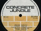 (Winston) Riley All Stars - Concrete Jungle Dub UK LP Listen
