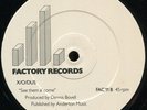 X/O/Dus - English Black Boys UK Factory 12