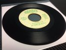 Dick Wagner And The Frosts- Sunshine/Little Girl 7