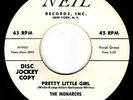 MONARCHS - Neil 101 - Pretty Little Girl / In My Younger Days- DOO-WOP DJ 45 VG+