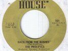 Funk Jazz 60's Instrumental-Prolifics-Back from the Bushes-US Light House record