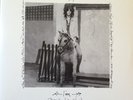 PATTI SMITH Horses Live At Electric Lady Studios RSD Limited 180g 12