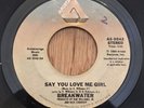 BREAKWATER modern soul 45 Say You Love Me Girl / Time   Arista
