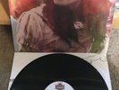 Meat Puppets. w/ bonus 10 inch Too High To Die 1st Pressing      Nirvana