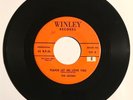 THE JESTERS Please Let Me Love You RARE 1957 ORIG DOO-WOP ROCKER Winley HEAR