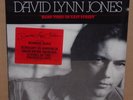 David Lynn Jones Hard Times On Easy Street LP vinyl record NEW SEALED cut out