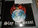 SKINHEAD  RECORD ROCK O RAMA REBELLES PUNK LP VG/G