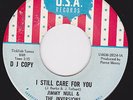 Buddy Holly Style Teen / Rocker 45 -JIMMY NULL - I Still Care For You / Good...