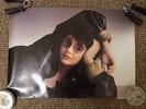 Rare KATE BUSH last official fan club poster 24
