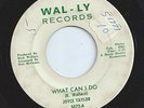 JOYCE TAYLOR northern WHAT CAN I DO girl soul 45 HEAR