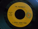 AUTUMN 15 THE VEJTABLES GARAGE ROCK I STILL LOVE YOU ANYTHING ERRICO FORTUNATO