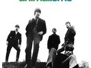 The Animals - Animalisms