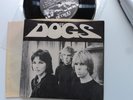 the DOGS 7