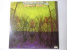 AMERICAN BLUES - 