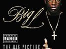 BIG L - The Big Picture 1974 - 1999 Double LP Ruwkus Best Of ebonics DITC