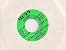 The Two Fellows (Fred &Skeets) - Stop (Don't Give Up Your Loving) - Mutt 1966