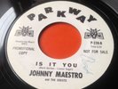 JOHNNY MAESTRO & THE CRESTS-IS IT YOU/ MY TIME-US OG PARKWAY PROMO-MP3