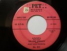 THE GAY KNIGHTS 45 - ANGEL / THE LOUDNESS OF MY HEART - PET PROMO -DOO WOP