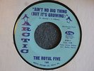 NORTHERN GROUP SOUL 45 The Royal Five Ain't No Big Thing Arctic 160 M- HEAR MP3